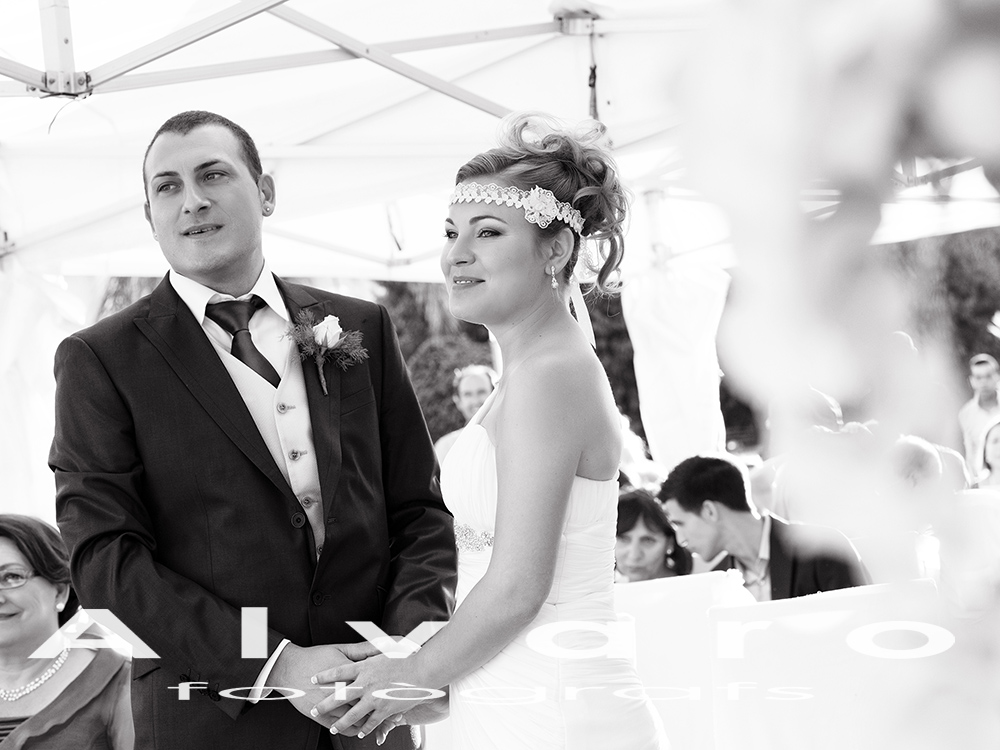 casamiento novios