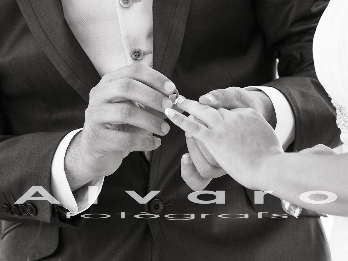 casamiento novios