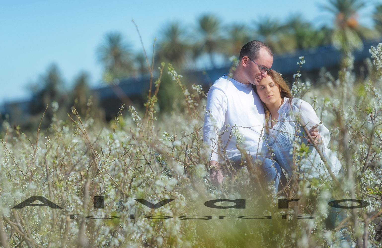 preboda campo