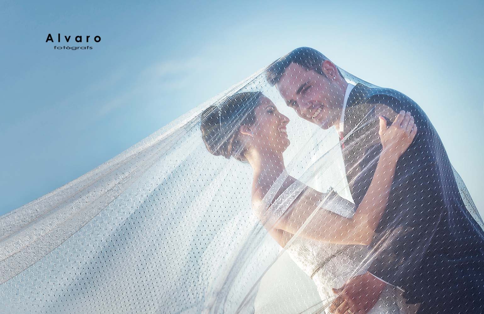 BODA8web